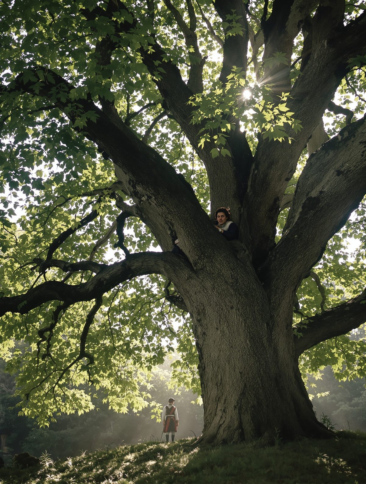 The day King Charles II hid in an oak tree to escape Cromwell's army